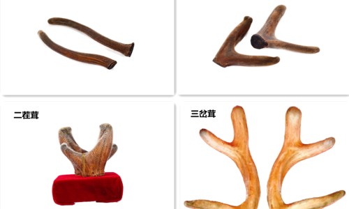 身上出汗会瘦下来吗-出汗多能不能瘦专区_身上出汗减肥吗专区_身上汗多可以减肥吗网