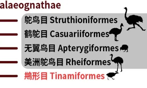 出汗多能不能瘦专区_身上出汗减肥吗专区_身上汗多可以减肥吗网